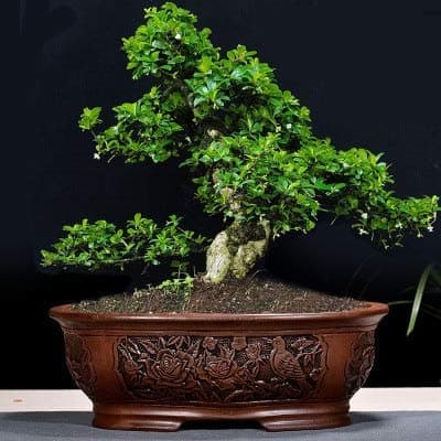 HONIC Retro Purple Sand Bonsai Flower Pot Large Indoor BalconySimple Garden Ceramic Bosai Pot Emboss ZiSha Bosai