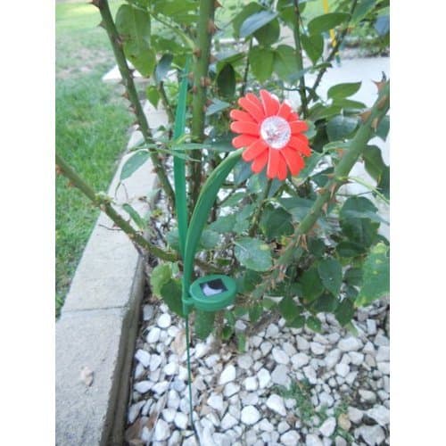 Set of 2 Beautiful Garden Decorative Gerbera Red Color Paddle Daisy Flower Solar Light