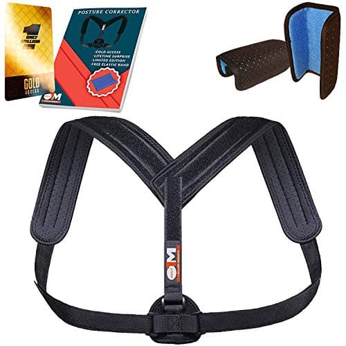 Shih Tzu Puppies 2018 12 x 12 Inch Monthly Square Wall Calendar, Animal Small Dog Breed Puppies (Multilingual Edition)