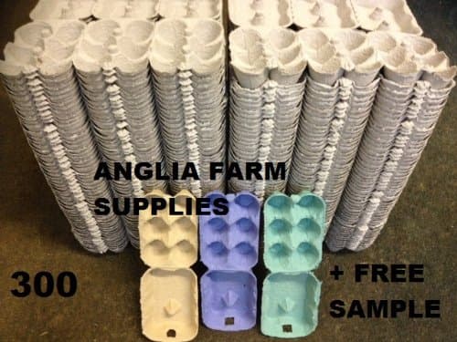 300 X 1/2 DOZEN NEW GREY EGG BOXES FOR CHICKEN DUCK HEN EGGS with our free sample coloured egg boxes