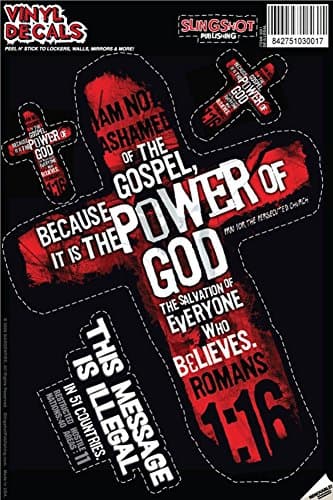 This Vinyl Decal is Illegal Wall Decal 8 x 12in