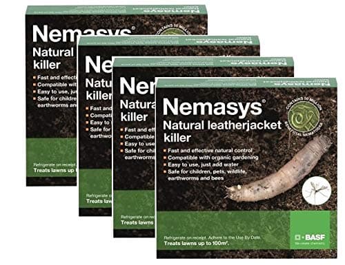 Nemasys Leatherjacket Killer nematode treatment (400 sqm)