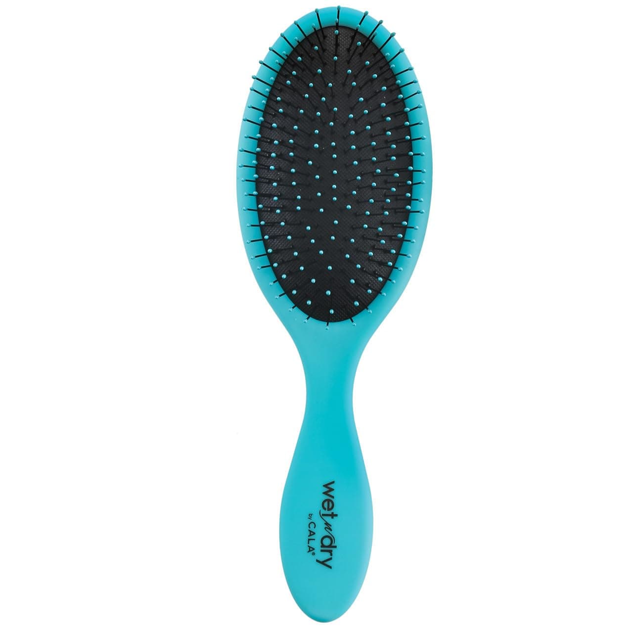 Wet-n-dry turquoise hair brush