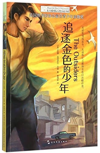 The Outsiders (Chinese Edition)