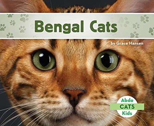Bengal Cats (Cats, 2) Library Binding – Picture Book, December 15, 2016
