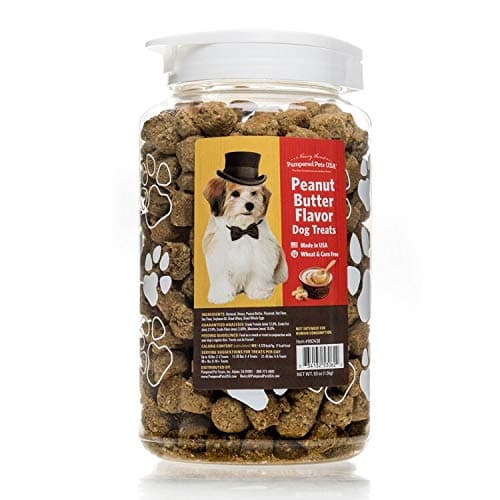 Peanut Butter Flavor Dog Treats In 53 Ounces, Bpa-Free, Reusable Canister - Made In Usa - Oven-Baked, Soft And Delicious