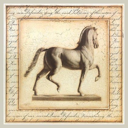 Sid Dickens Poster Art Print Statuesque Horse I 69 x 69 cm in Aluminium Frame Graphite