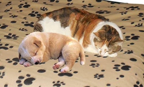 Cat and Dog Large Fleece Pet Blanket - Throw for Car, Lap, Sofa, Pet Bed, Crate, Kennel and Carrier