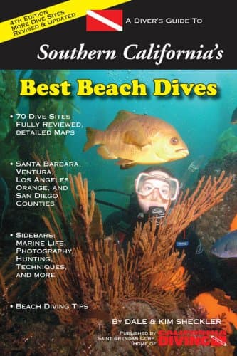 A Diver's Guide to Southern California's Best Beach Dives