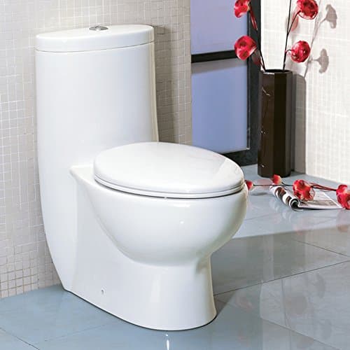 Floor -standing elongated one-piece porcelain toilet with siphonic dual flush system 1.6 gpf and 0.8 gpf, include a seat cover and tank . 16"W 28 3/8"D, 30 3/4"H