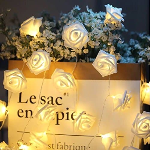 Hausger Rose Fairy Lights 30LED Warm White 3M Battery Operated String Lights are Easy to Carry Christmas Wedding Big House Party Home Decorations