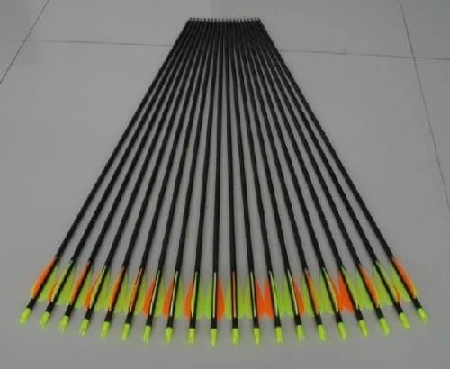 Golden Power Fiberglass Practice/Hunting Arrows W/Changeable Point for Recurve Bow or Traditional Bow 28" Inches, 48 Arrows