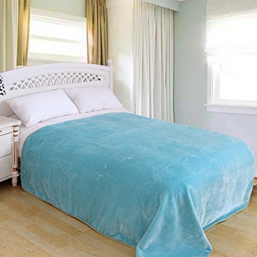 ShiGo Heavy Weight Super Soft Luxury Twin Size Blanket 60"X80" (Green)