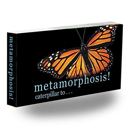 Fliptomania Caterpillar to Monarch Butterfly Metamorphosis Flipbook