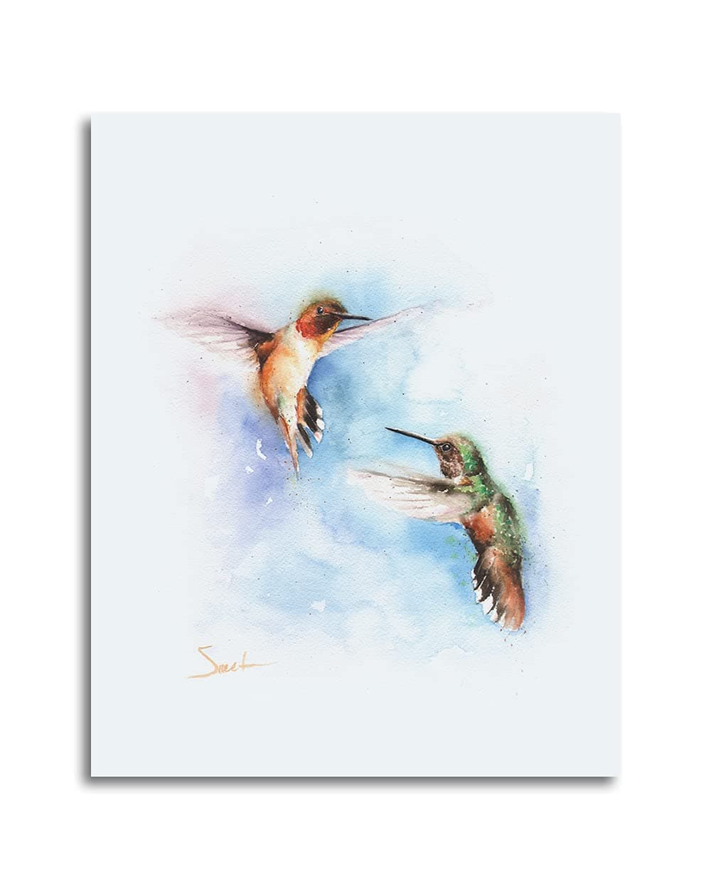 Two Rufous Hummingbirds Wall Art by Eric Sweet | Orange Bird Decor, Bird Wall Art, Hummingbird Painting | Art Print of Marmalade Birds