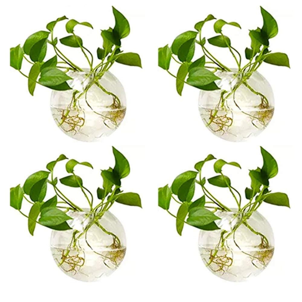 NUPTIO 4 Pcs Wall Hanging Glass Planters 10cm Diameter Round Glass Plant Pot - Water Planting Vases Air Flower Vase Plant Terrariums Plant Container