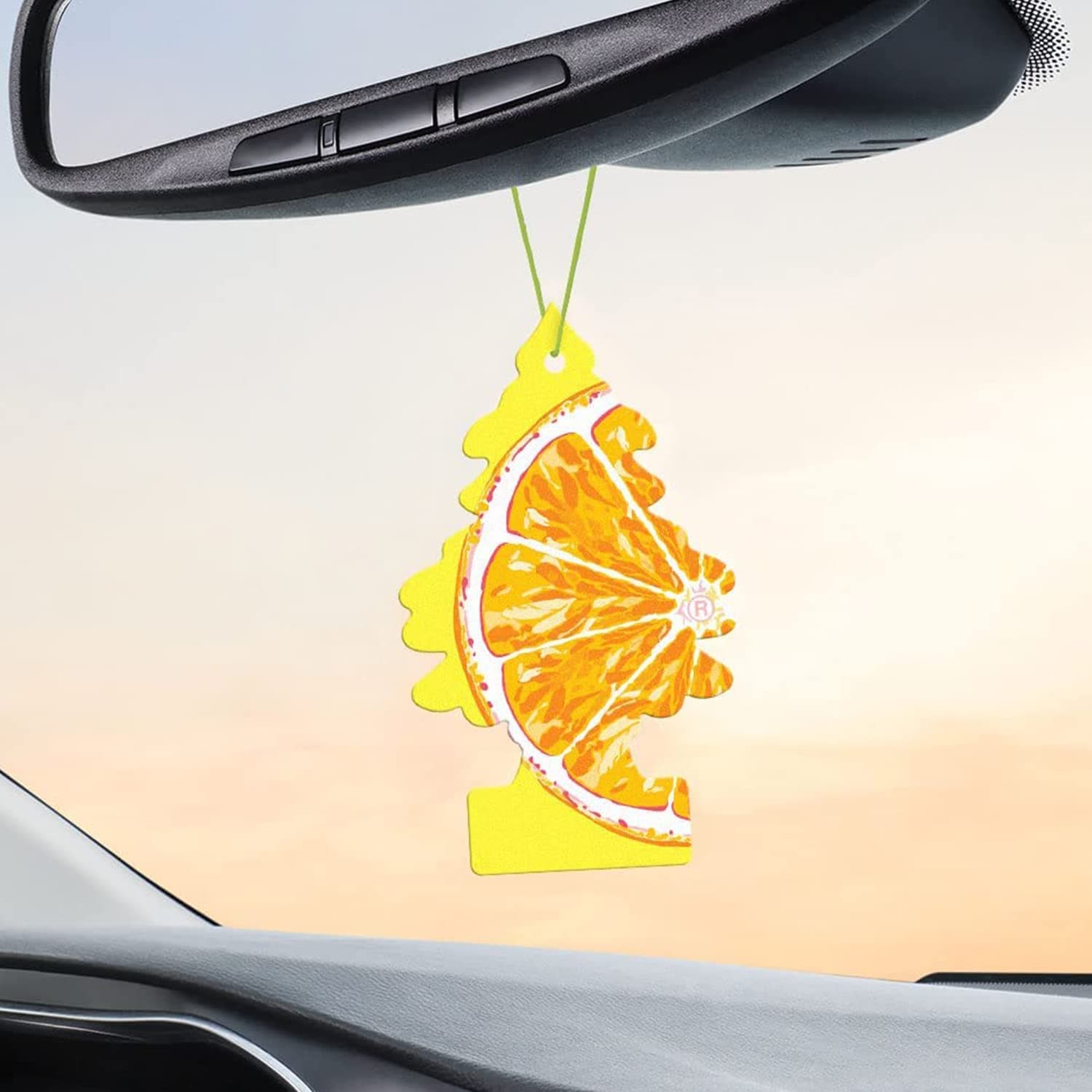 Little Trees Sliced Air Freshener (Pack of 3) | Tree-Shaped Hanging Design | Ideal For Car, Home, Wardrobes etc | Imported from USA