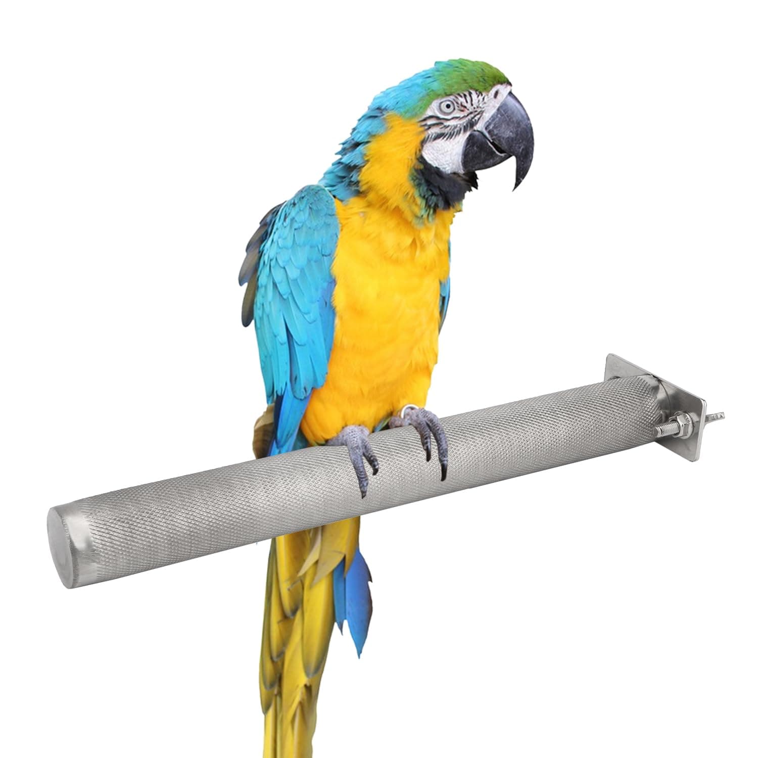 HypeetyBird Parrot Stainless Steel Stand Perch Rod Bird Grinding Claws Parrot Scratching Stick Perch for Conure Cockatiel Parakeet Cage Accessories Exercise Stand (XL: 12.22 * 1.22 inch)