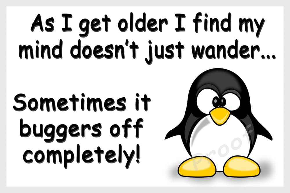 Penguin Funny Flexible Fridge Magnet Gift - As I get older