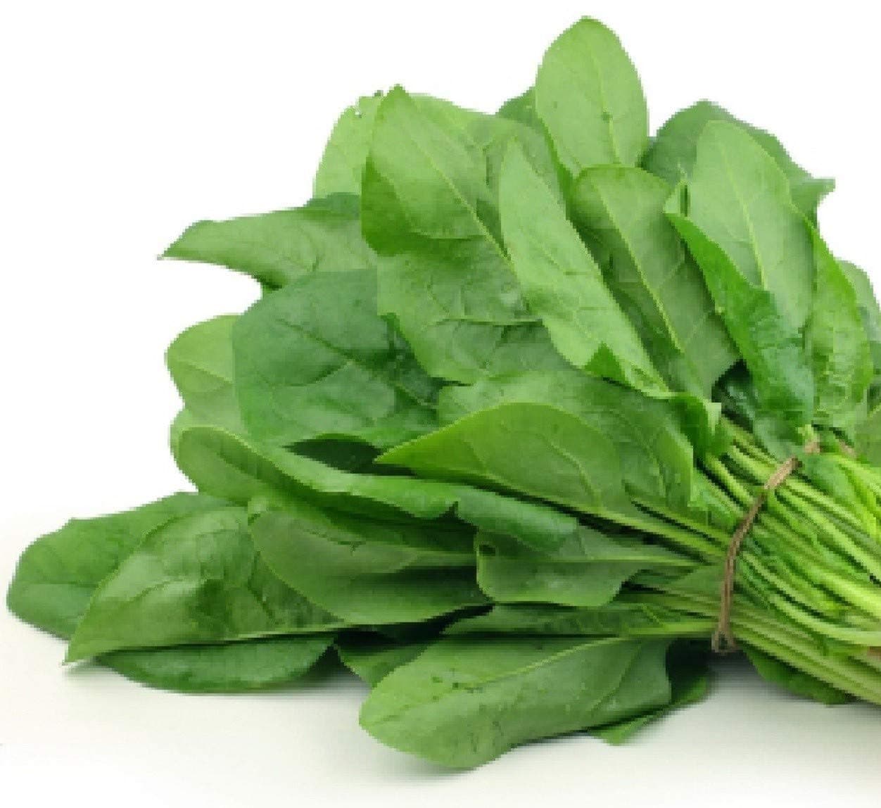 Verdil Spinach Seeds Organic Heirloom Non GMO