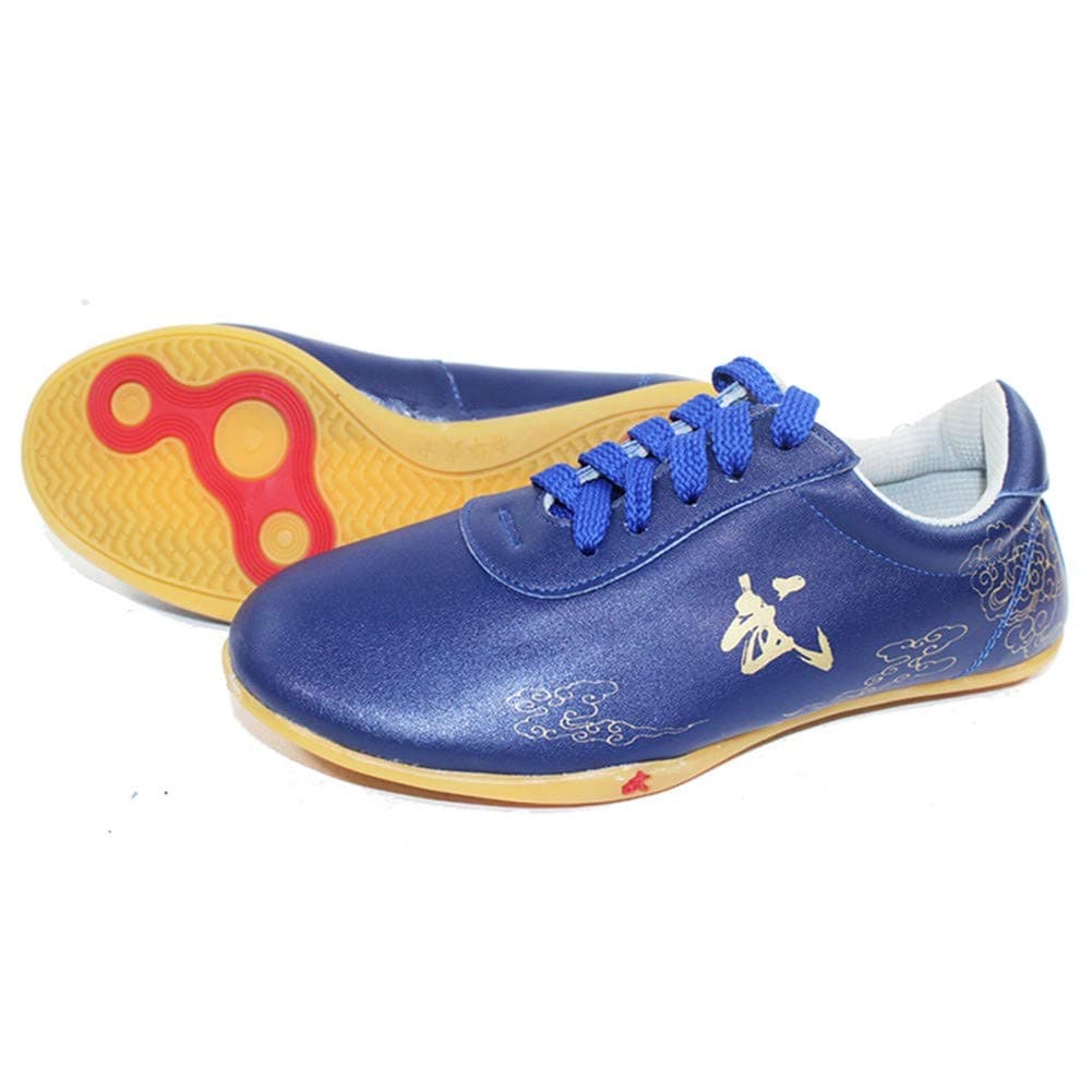 CHIYAUnisex Tai Chi Kung Fu Wu Shu Shoes,Non Slip Cozy Breathable Chinese Traditional Wushu Shaolin Qi Gong Trainer Wing Chun Slipper,four seasonsBlue-36
