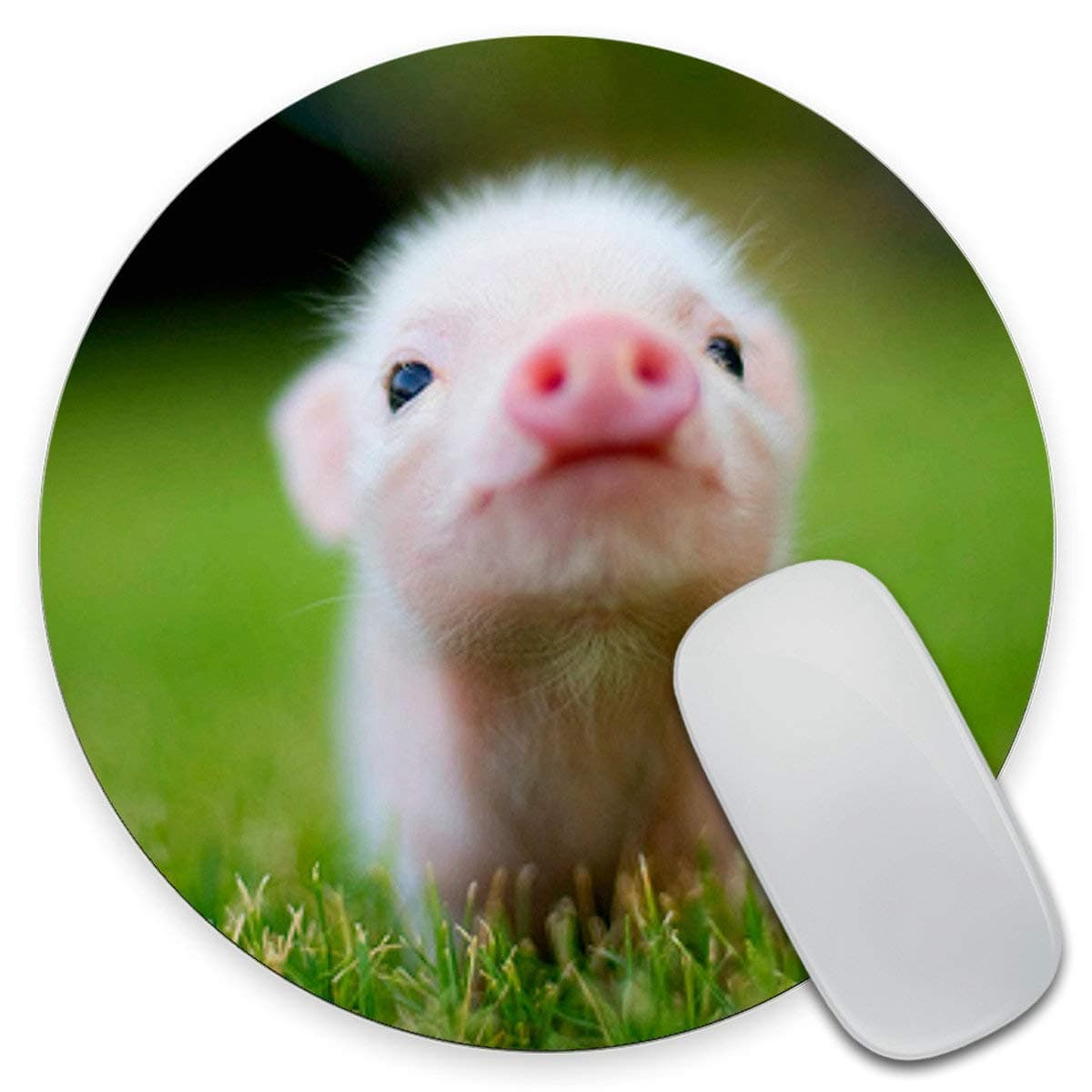 Baby Pig Present,Round Funny Pig Mouse Pad, Desk Accessories, Pig Mouse Pad, Office Decor, Pig Presents, Farmhouse Decor, Pig Decor