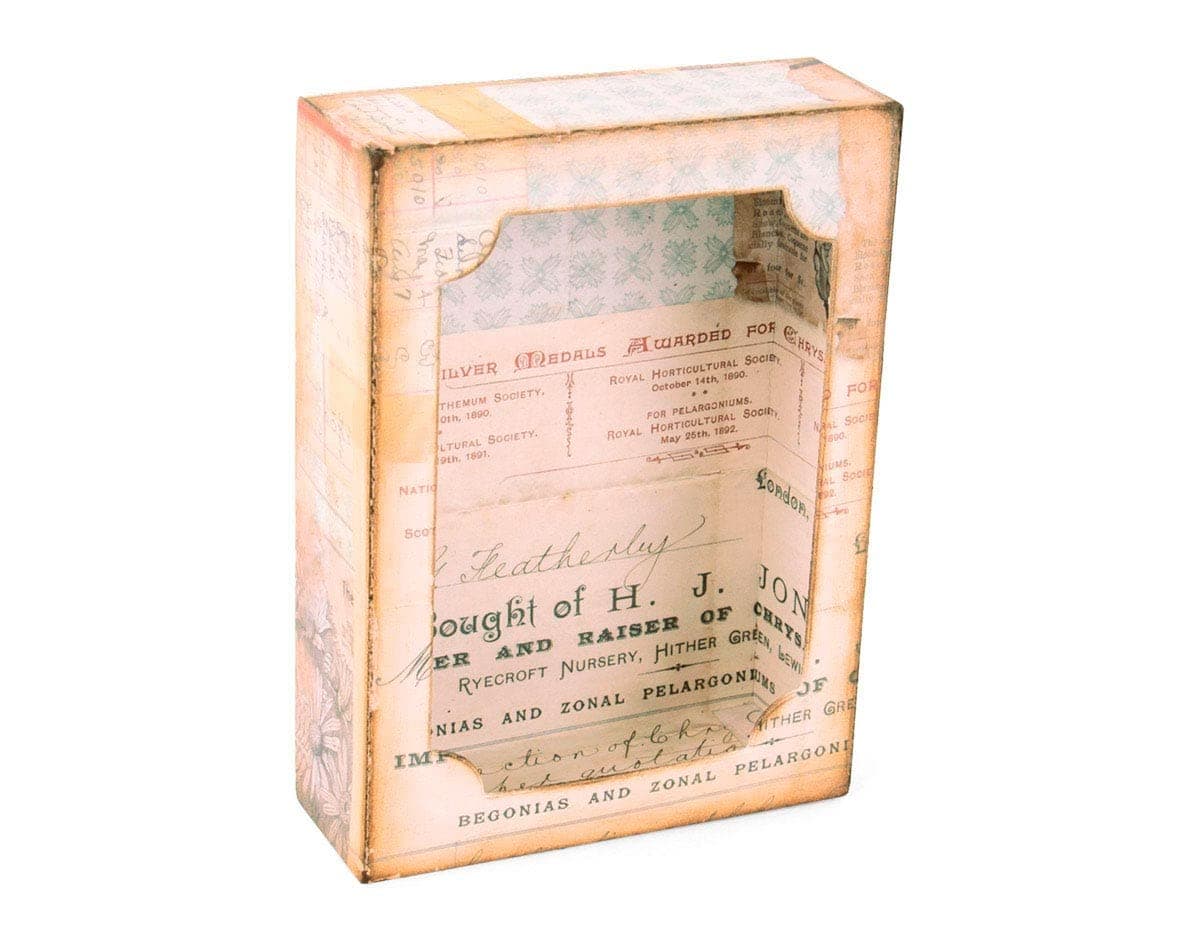 Sizzix Bigz XL Die w/Framelits Curio Box by Tim Holtz, Multicolor