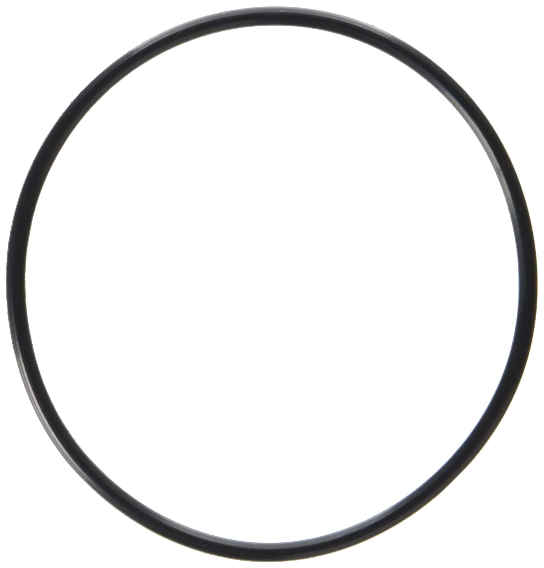 Waterway Plastics 806105129666 Serviceable Swing Check Valve Cover O-Ring