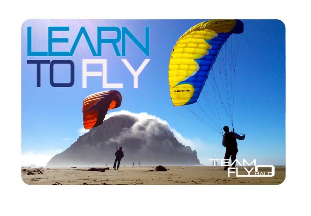 Team Fly Halo Gift Card