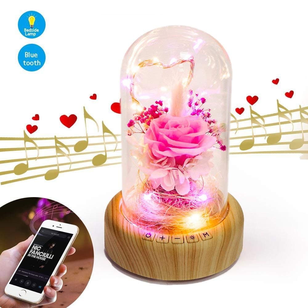 Preserved Forever Rose Bedside Lamp Bluetooth Speaker, Unique for Her, Women Girlfriend on Valentine Day, Enchanted Flower LED Night Light Music Player in Glass Dome, Pink Rose