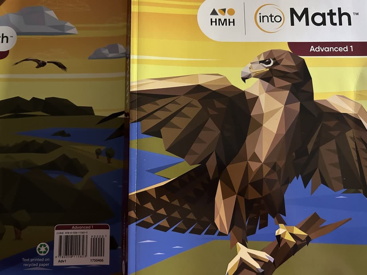 Into Math Advanced 1 2020