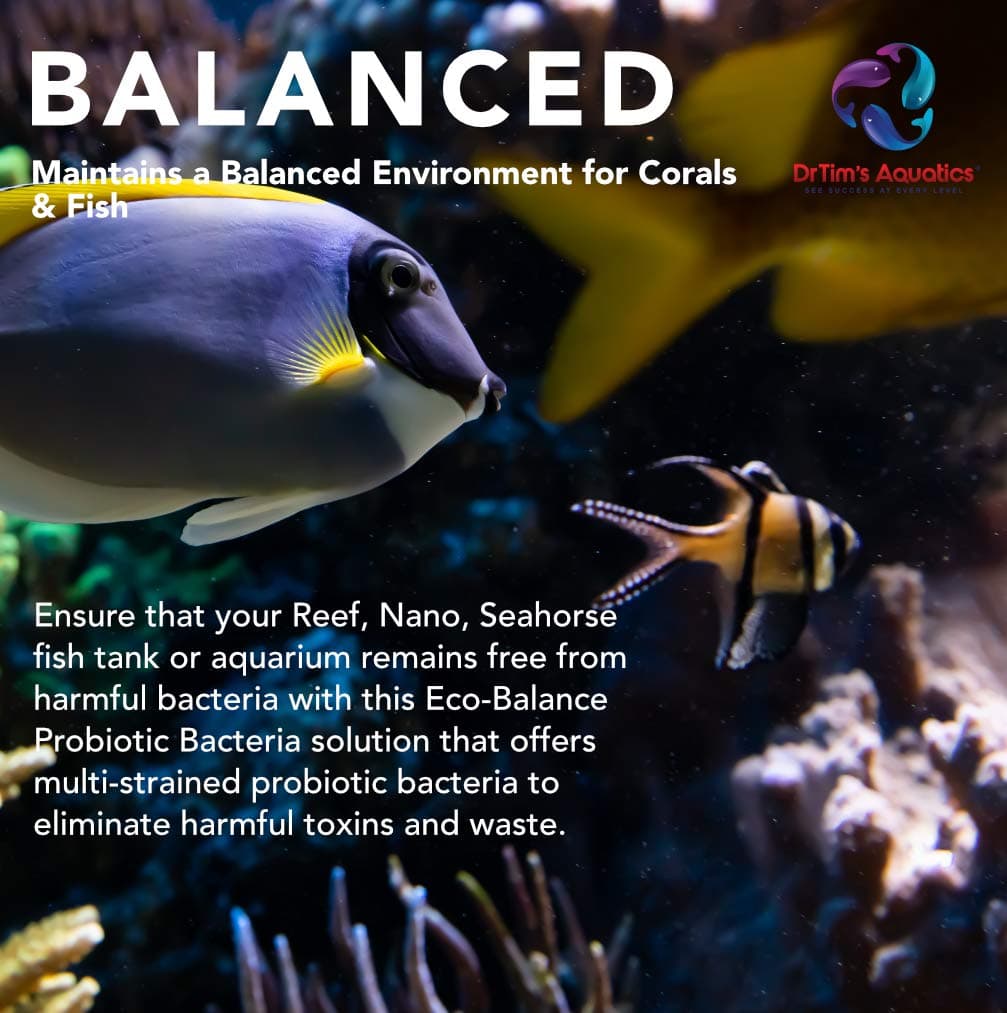 DrTim's Aquatics Eco-Balance Multi-Strained Probiotic Bacteria for Reef and Nano Aquariums, 4-Ounce by DrTim's Aquatics