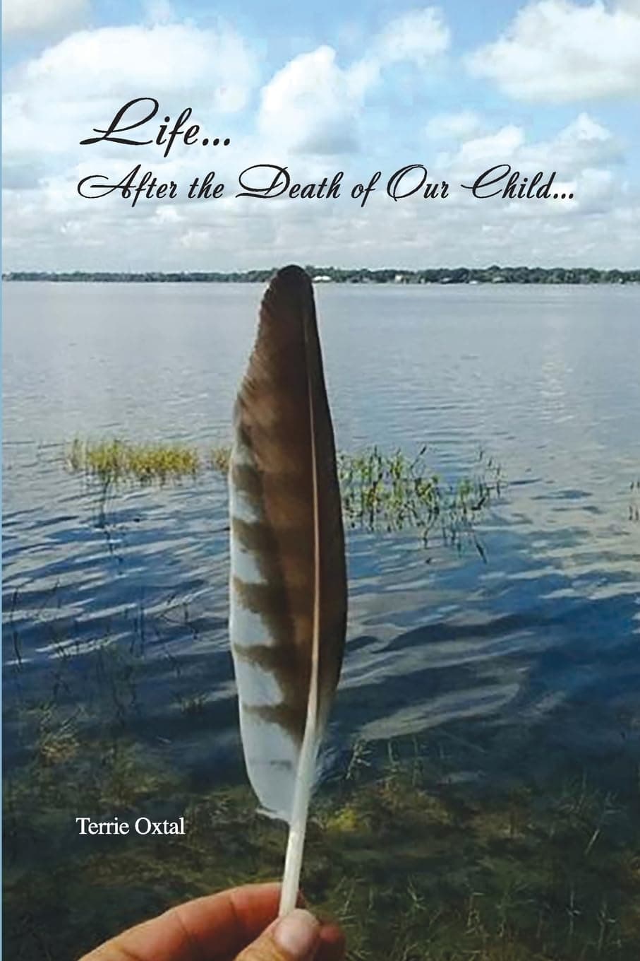 Life After The Death of Our Child Paperback – June 20, 2016