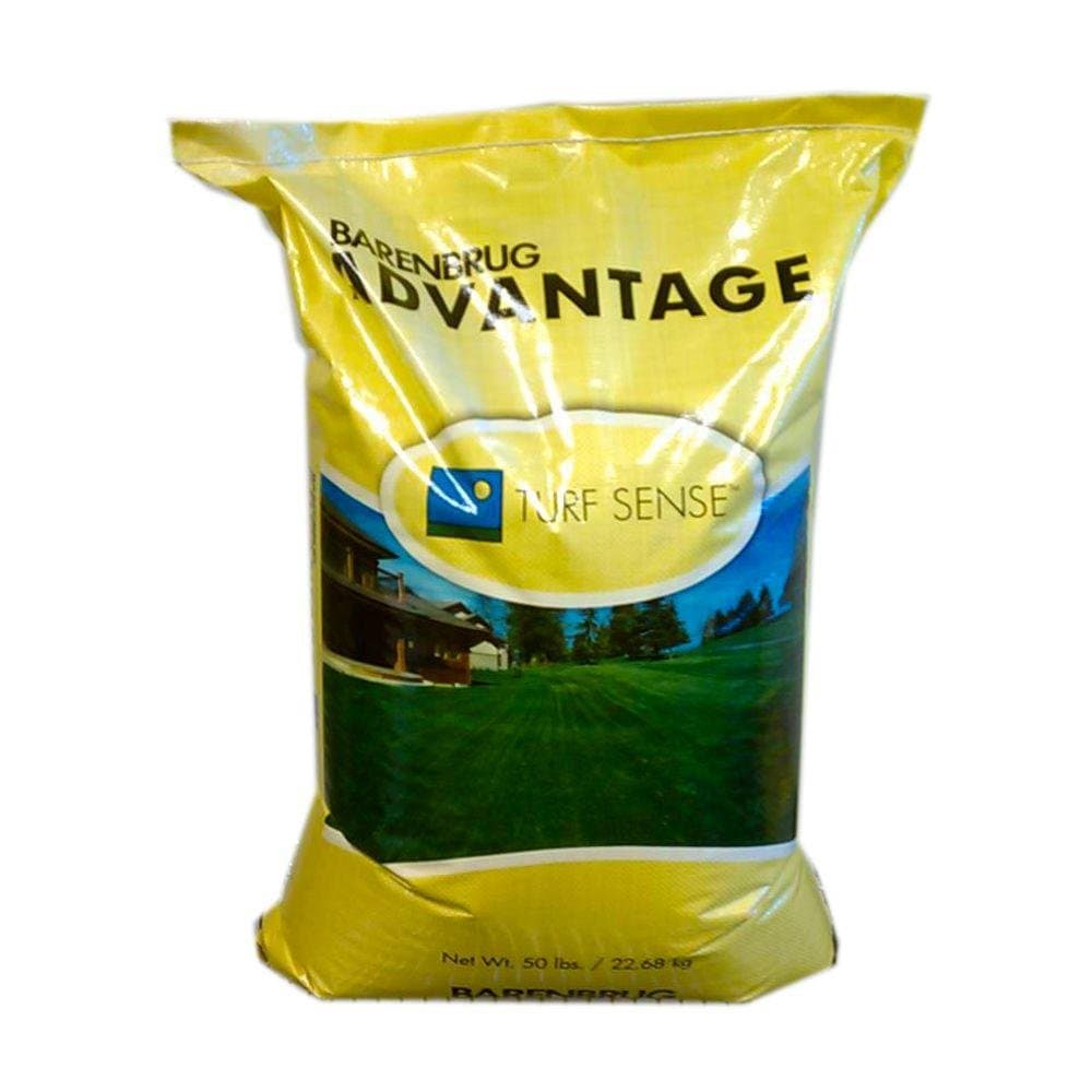 Barenbrug 50 lb. Barrister Kentucky Bluegrass Seed