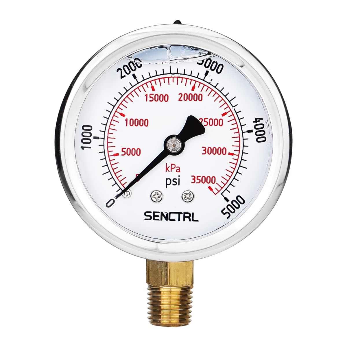 5000 Psi Glycerin Liquid Filled Hydraulic High Pressure Gauge, 2.5" Dial Size, 1/4" NPT Lower Mount, Stainless Steel Case, for Argon Air Co2 Gas Water Oil Pressure Test