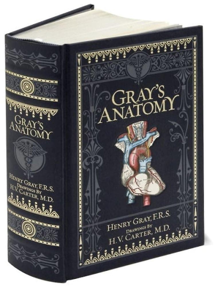 Sterling Publishing Gray's Anatomy (Barnes & Noble Collectible Classics: Omnibus Edition)