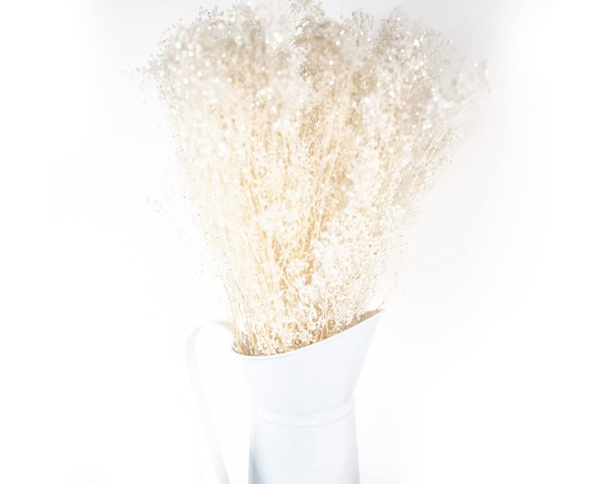 Sola Wood FlowersDried Preserved Greenery White Sparkle Baby's Breath 14" to 18" 4 oz Floral Filler for Flower Arrangements, Home Decor and DIY Wedding Flower Assortments