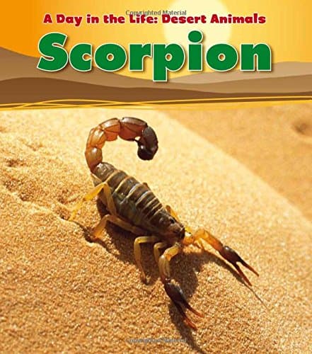Scorpion (Heinemann Read and Learn: A Day in the Life: Desert Animals) Paperback – January 1, 2011