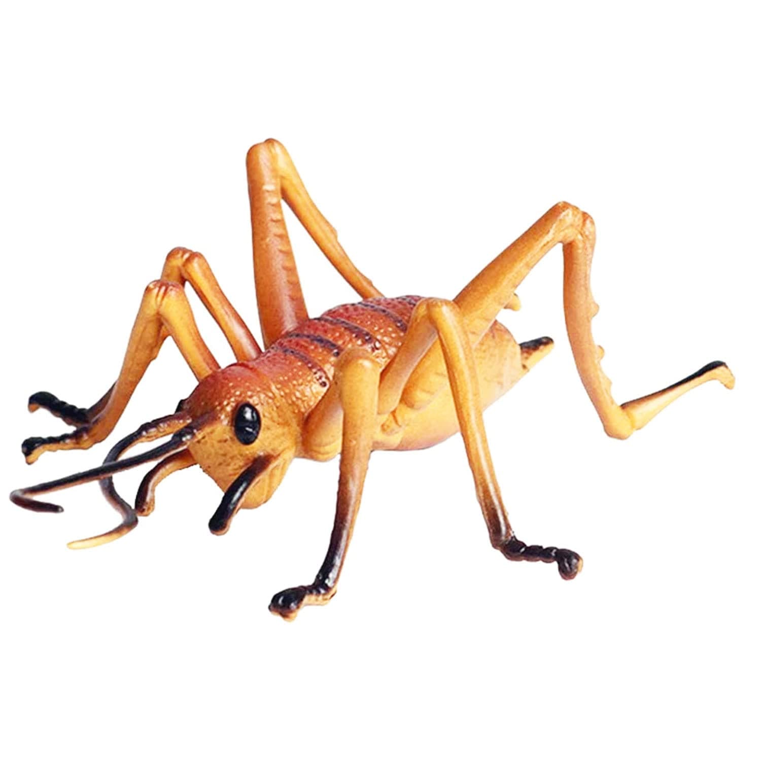 Realistic Animal Figures Cricket Figurines Insect Toy, Science Project, Cake Topper, Early Educational Toys Birthday for Toddlers Kids Age 3 4 5