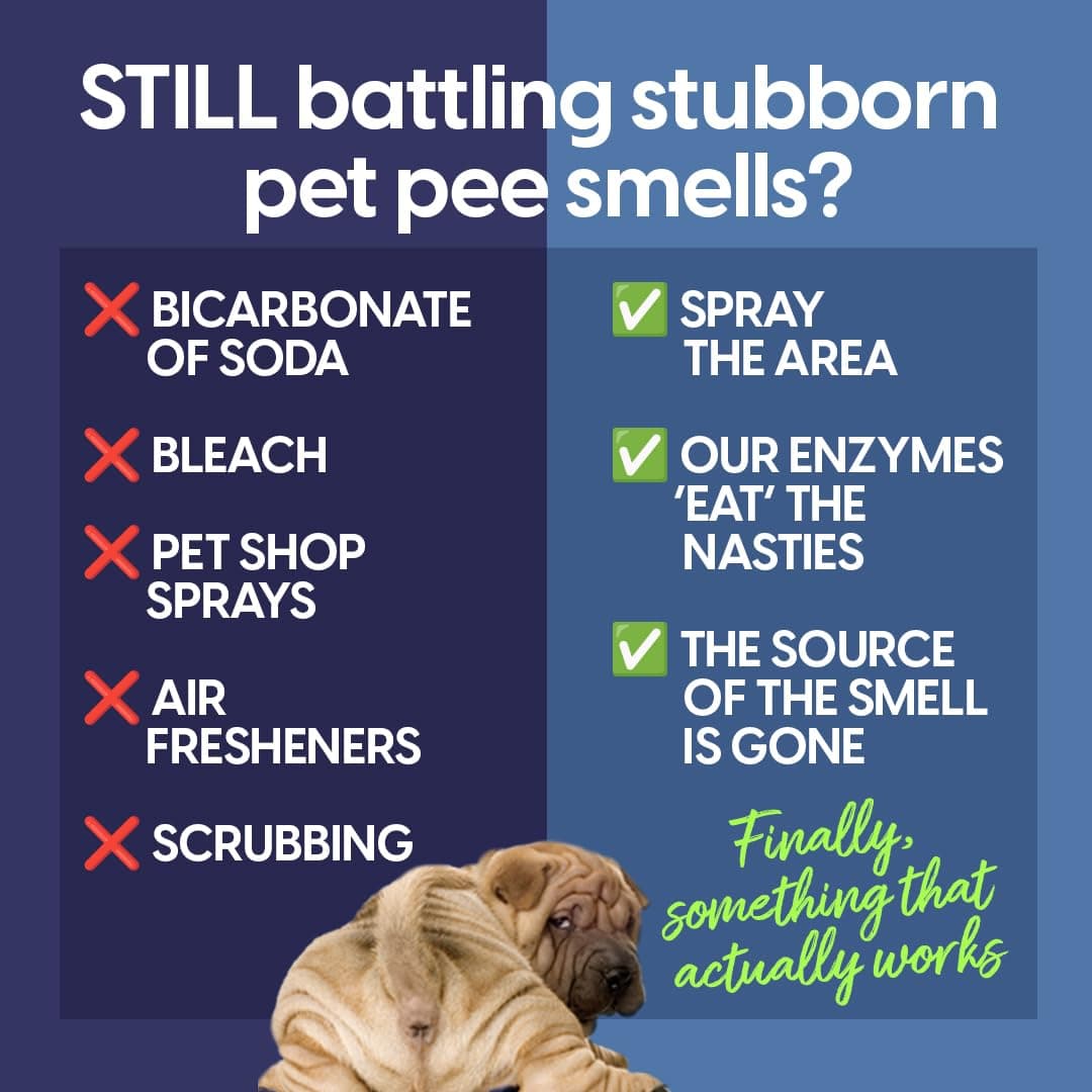 Enzyme Cleaner Concentrate - Powerful Pet Urinary Odor Remover & Stain Remover - Natural Enzyme Cleaner for Carpets and Hard Floors - For Dog Urine, Cat Pee, Vomit, Fox's Pooh Makes 8 Bottles of 250ml