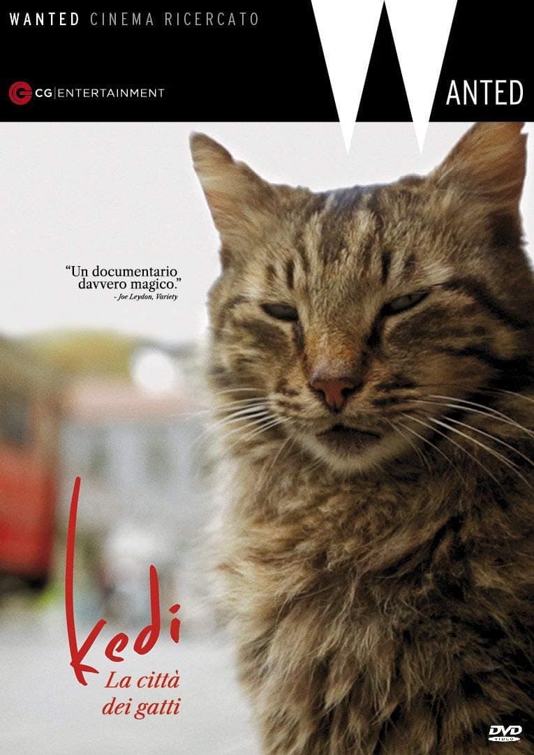Kedi [DVD] (IMPORT) (No English version)