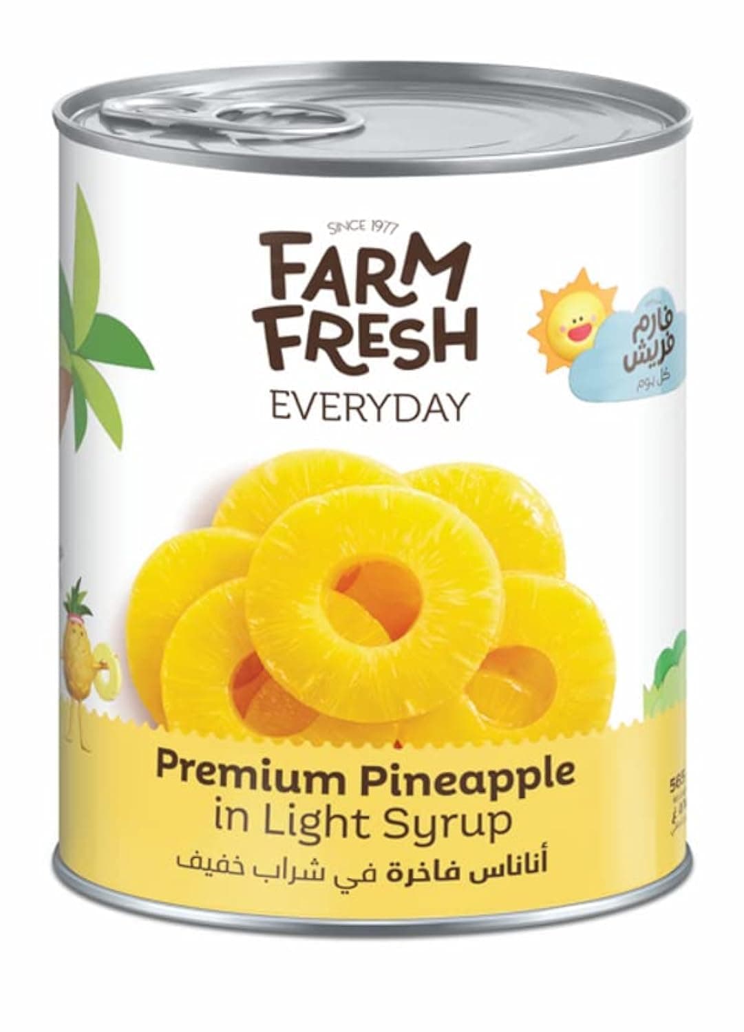 Farm Fresh Everyday Pineapple Slices in Light Syrup 565 g