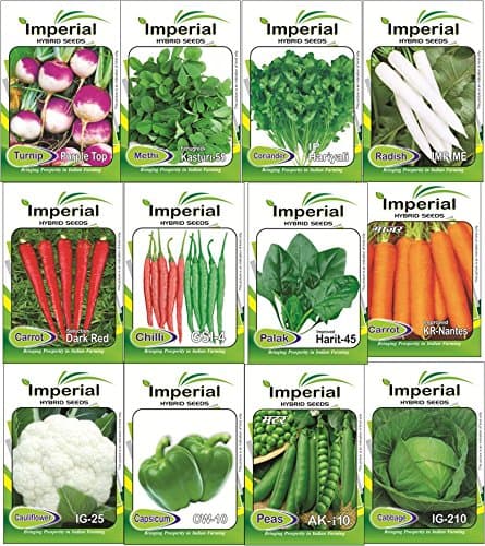 Indica Imperial Export Quality Winter Vegeable Seeds 12 Packets Seeds Combo(avg 40+ Seeds Each) Sold by Super Agri Green