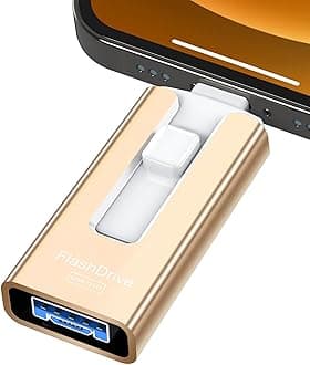 Flash Drive 256GB(Gold)