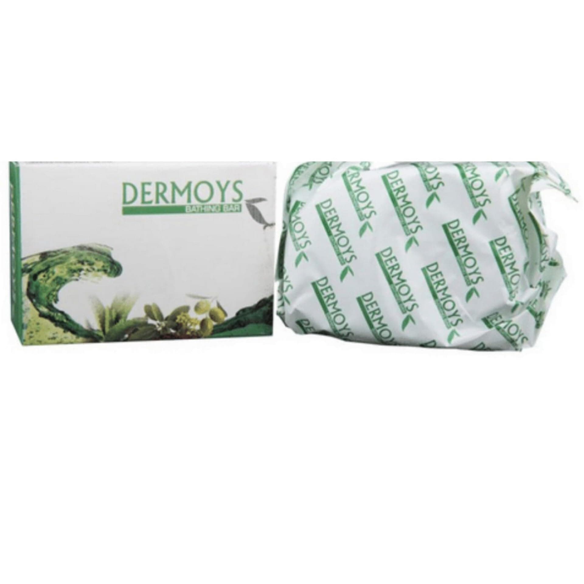 Dermoys - Pack of 100g Moist Soap