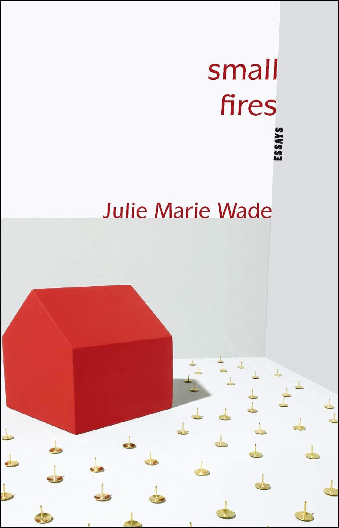 Small Fires: Essays (Linda Bruckheimer Series in Kentucky Literature)