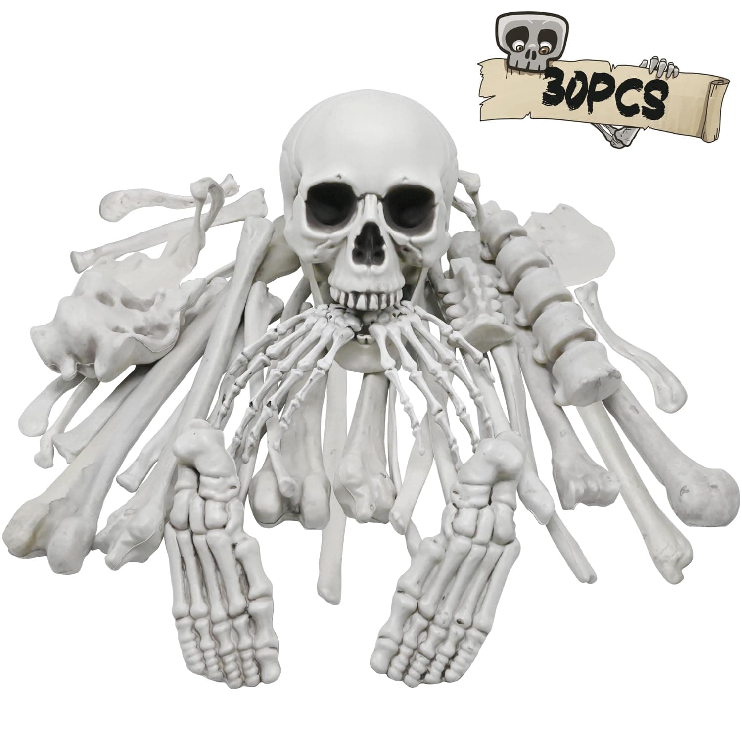 DINESIL 30 PCS Halloween Skeleton Bones Decoration, Halloween Realistic Bag of Plastic Skeleton Bones and Skull for Life Size Skull Decor, Graveyard Haunted House Outdoor Indoor