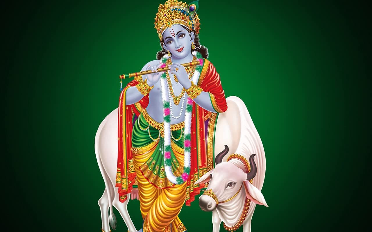 Yellow Alley Hindu Religious Sticker Poster|Shri Krishna With Cow Poster|Krishan Ji|Murli Manohar Ji|Hindu Lord Goddess God Photo for Pooja and Wall/Hindu BhagwanISelf Adhesive Wall Sticker Paper