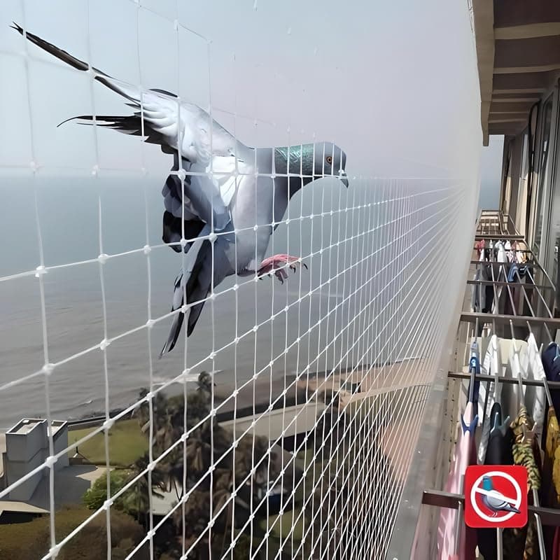 Essoti UV Stabilized Anti Bird Net- Pigeon Net (3 x 5 FT) with Attached Corner Ropes & Installation Kit/Size- (3 x 5 FT), White