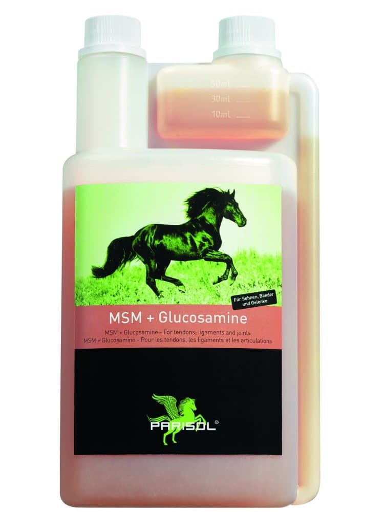 Parisol Msm+Glucosamine - 1000 ML